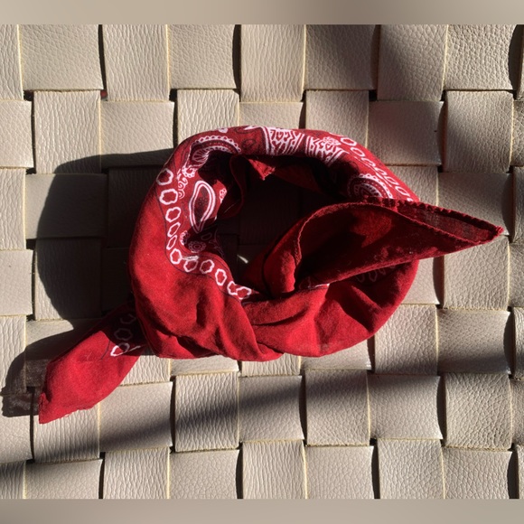Kaiser Collection // Red Paisley Bandana - Picture 3 of 5